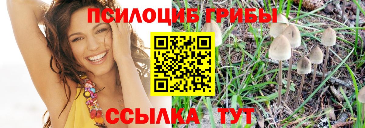 Ахтубинск  Псилоцибиновые грибы мухоморы  Вход с VPN 